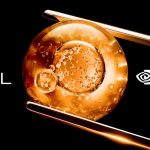 L’Oréal y NVIDIA amplían su alianza en IA