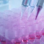 LabAnalysis amplía sus servicios de ensayos in vitro para los sectores farmacéutico y alimentario